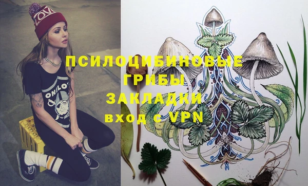 прущие грибы Михайловск