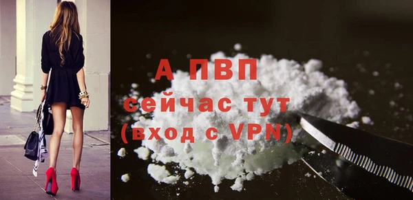 прущие грибы Михайловск