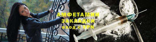 прущие грибы Михайловск