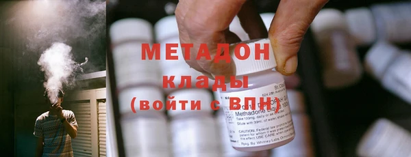 прущие грибы Михайловск
