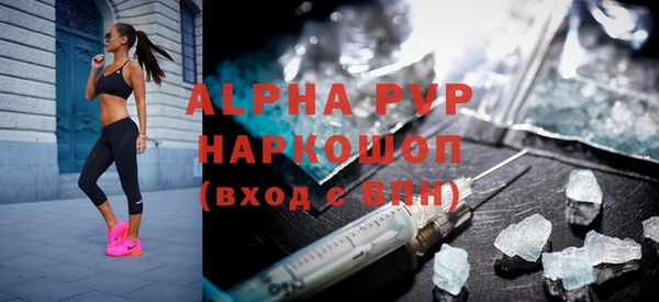 прущие грибы Михайловск