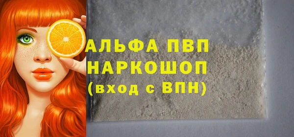 прущие грибы Михайловск