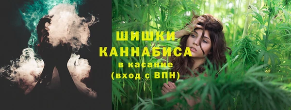 прущие грибы Михайловск